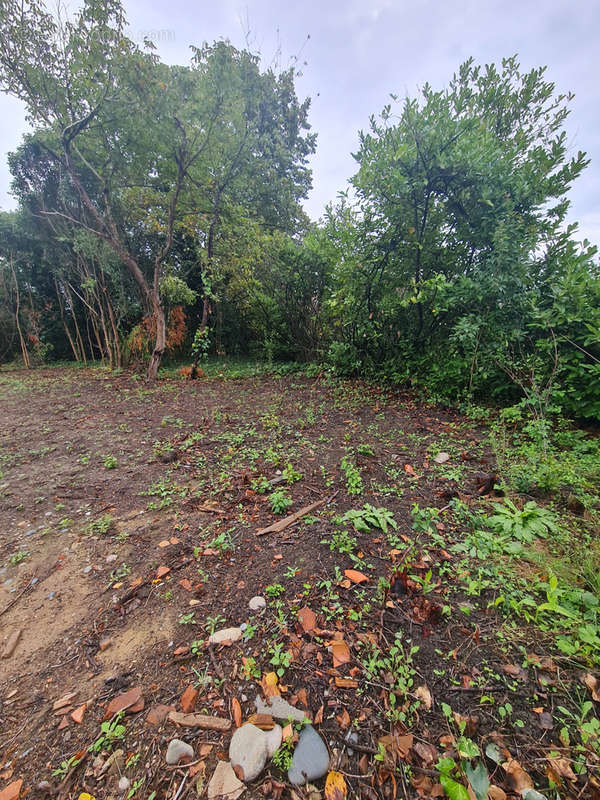 Terrain à SAINT-SULPICE-SUR-LEZE