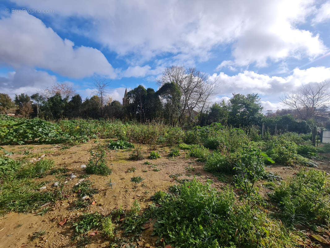 Terrain à SAINT-SULPICE-SUR-LEZE