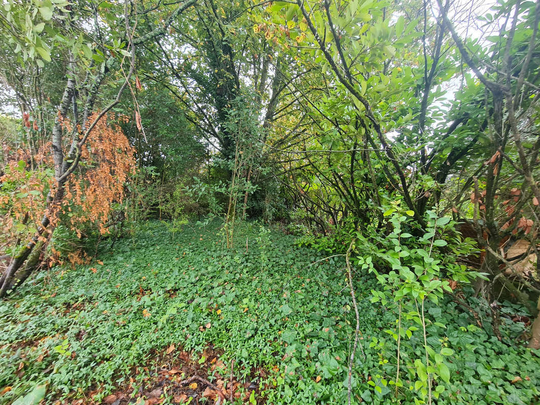 Terrain à SAINT-SULPICE-SUR-LEZE