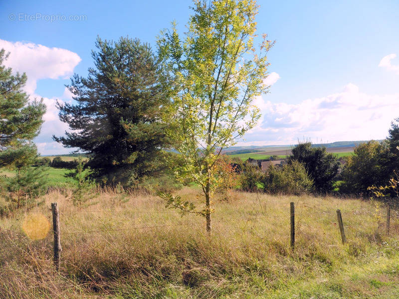 Terrain à VILLENEUVE-L&#039;ARCHEVEQUE