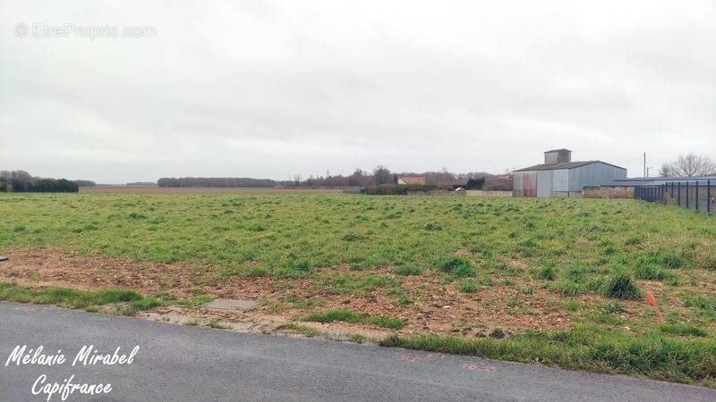 Terrain à MARCILLY-LA-CAMPAGNE