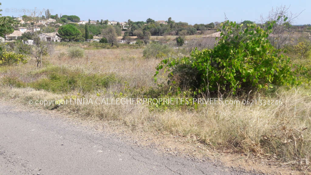 Terrain à PEZENAS