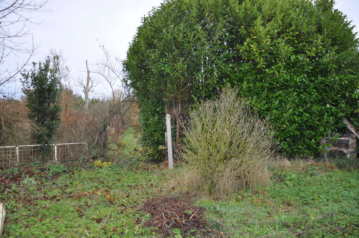 Maison à LAPALISSE