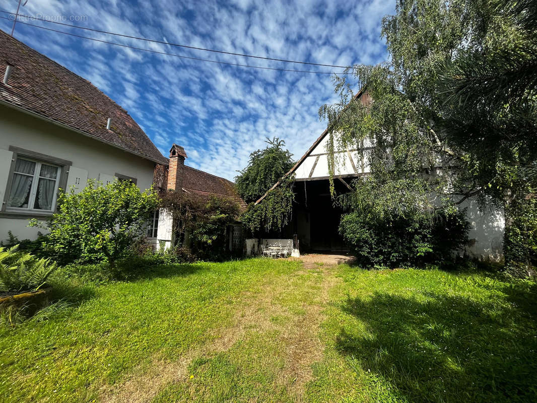 Maison à BALDENHEIM