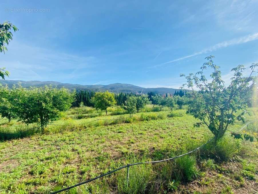 Appartement à PRADES