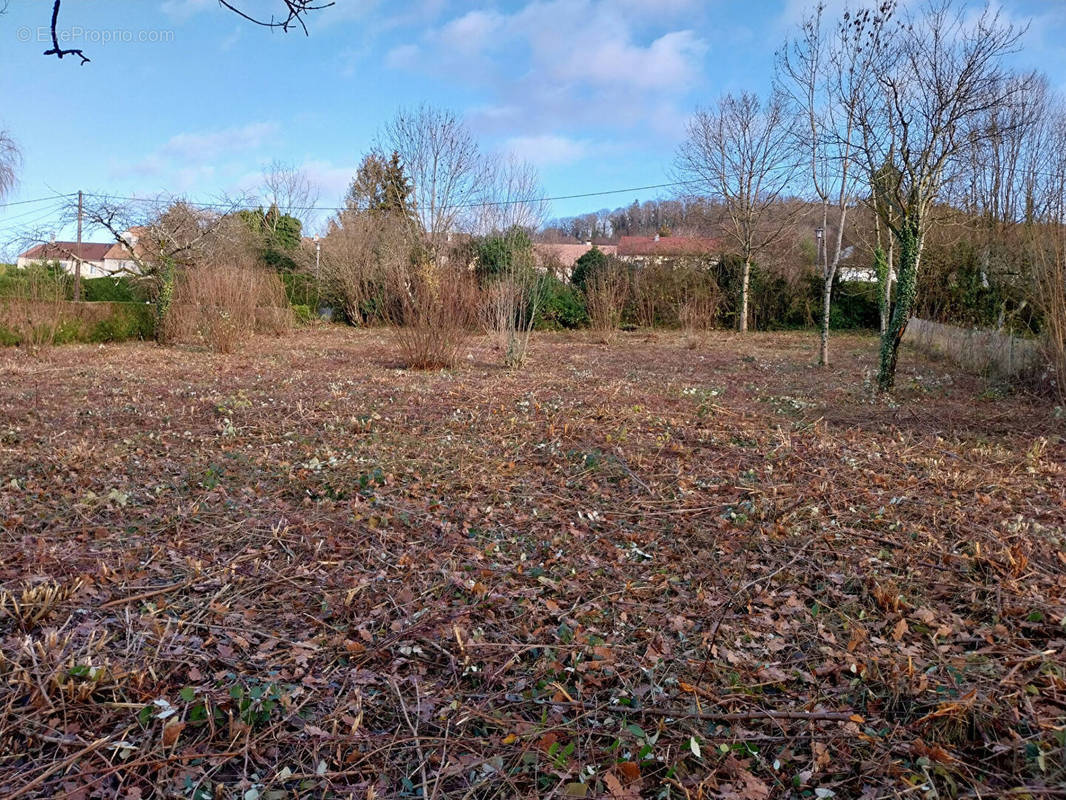 Terrain à CHATILLON-LE-DUC