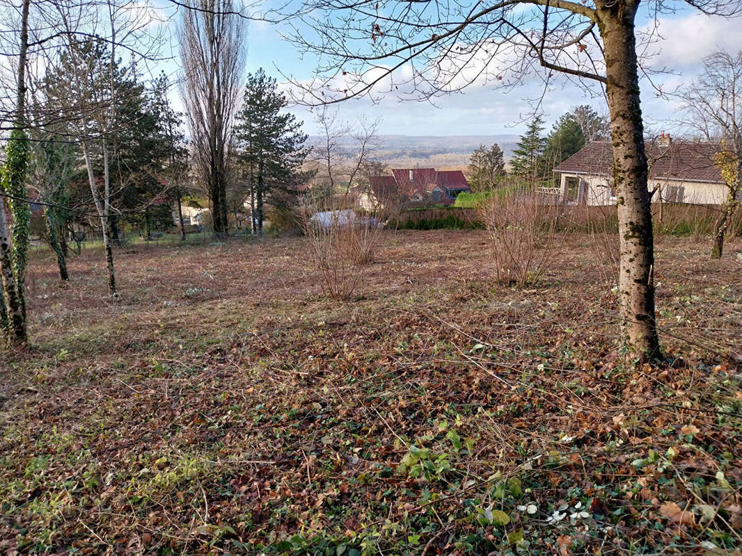 Terrain à CHATILLON-LE-DUC