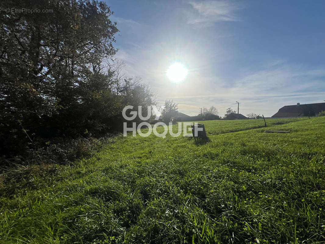 Terrain à SERRES-SAINTE-MARIE