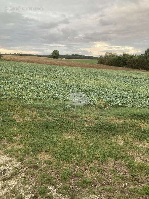 Terrain à MIREBEAU-SUR-BEZE