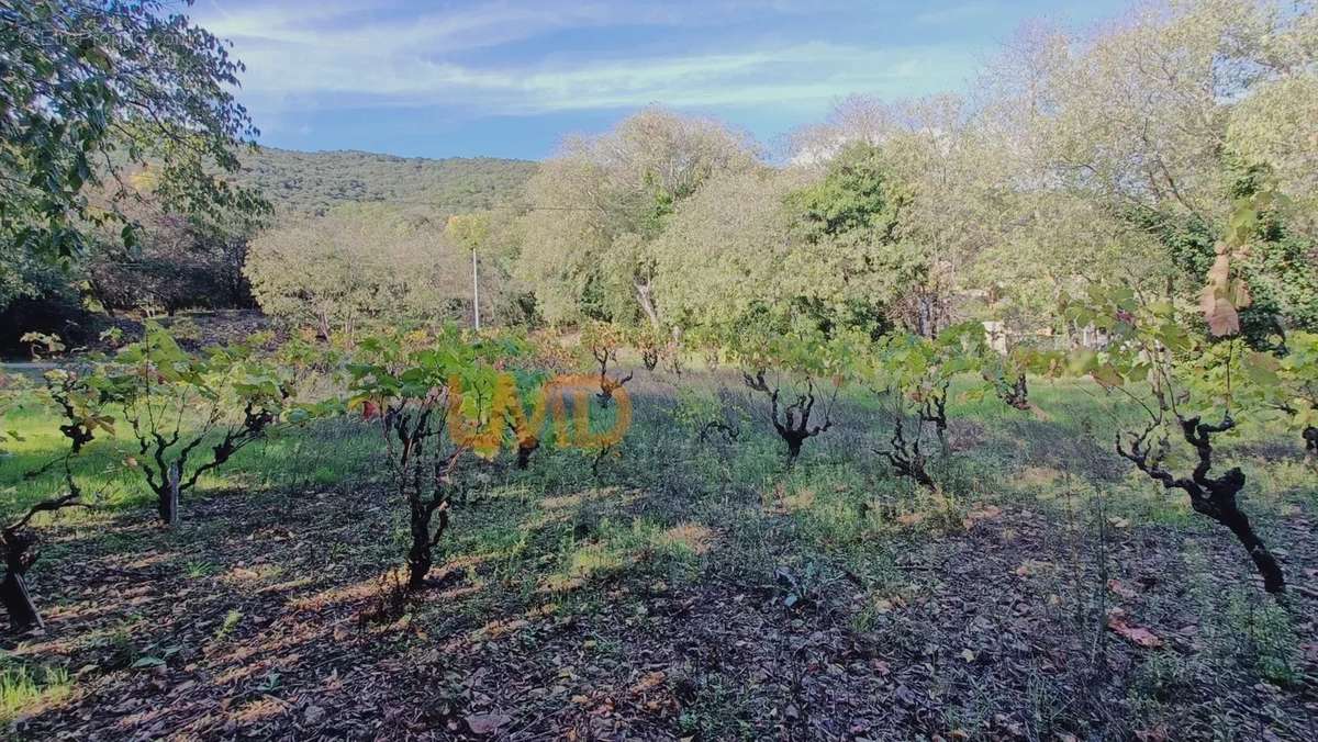 Terrain à CESSENON-SUR-ORB