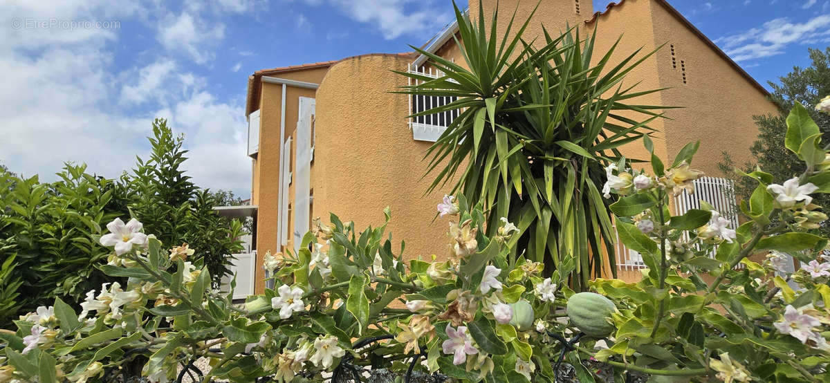 Maison à ARGELES-SUR-MER