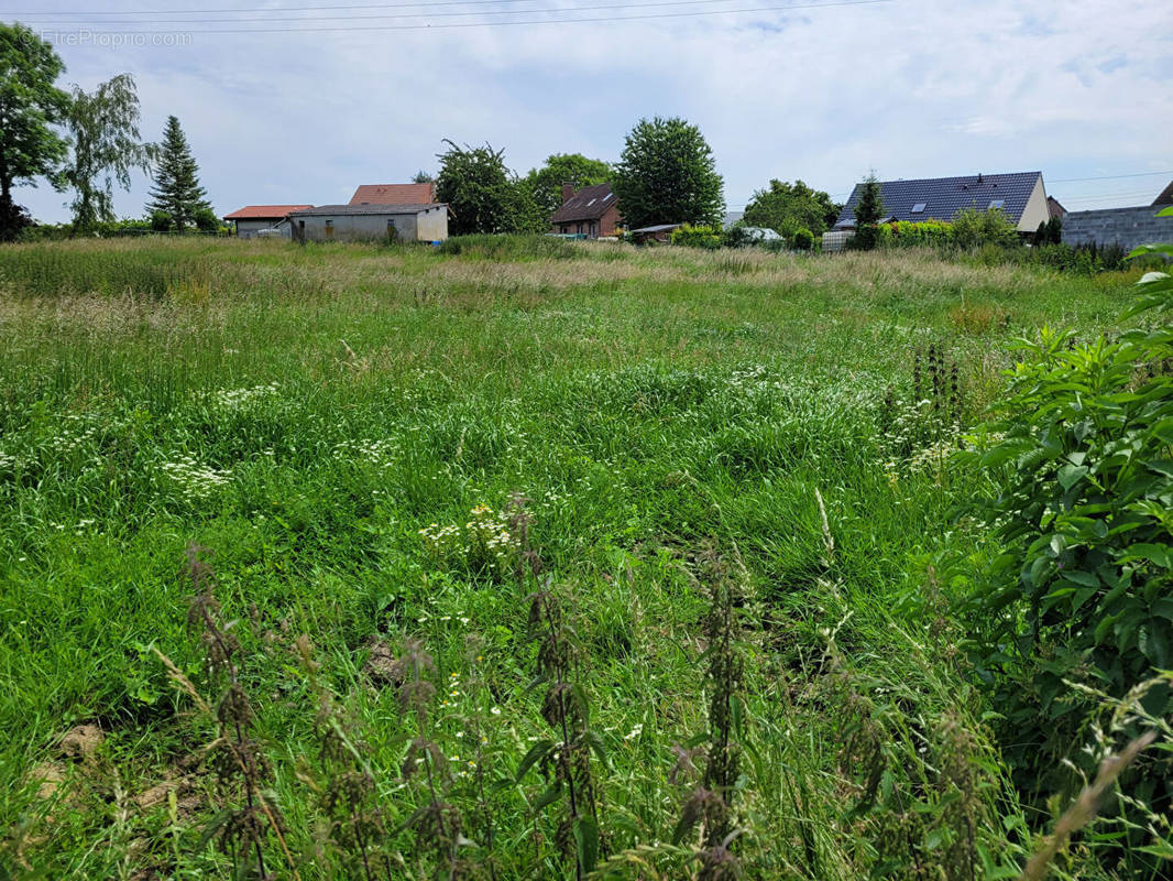 Terrain à CAMBRIN