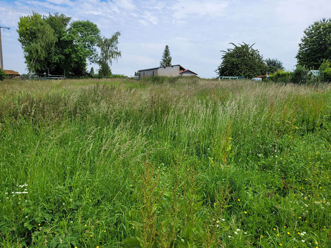 Terrain à CAMBRIN