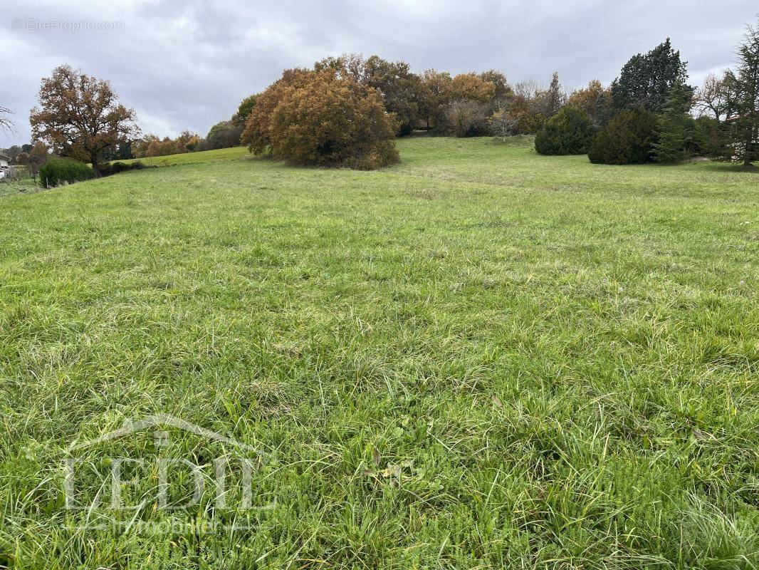 Terrain à CONDOM