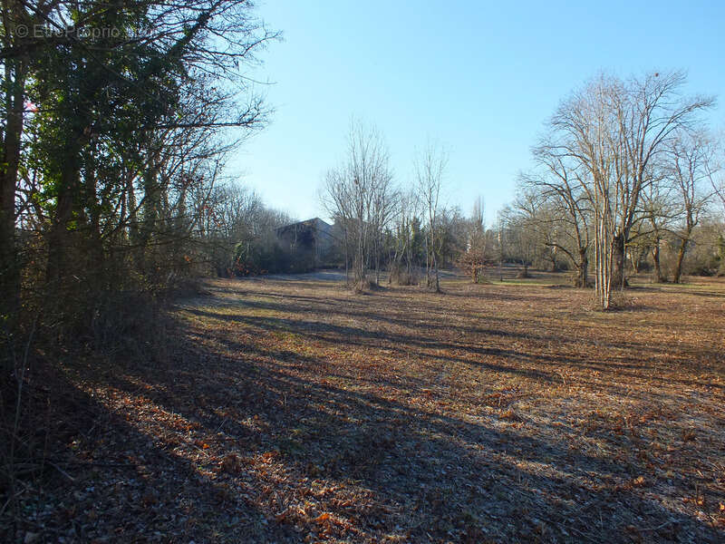 Terrain à SEMUR-EN-AUXOIS