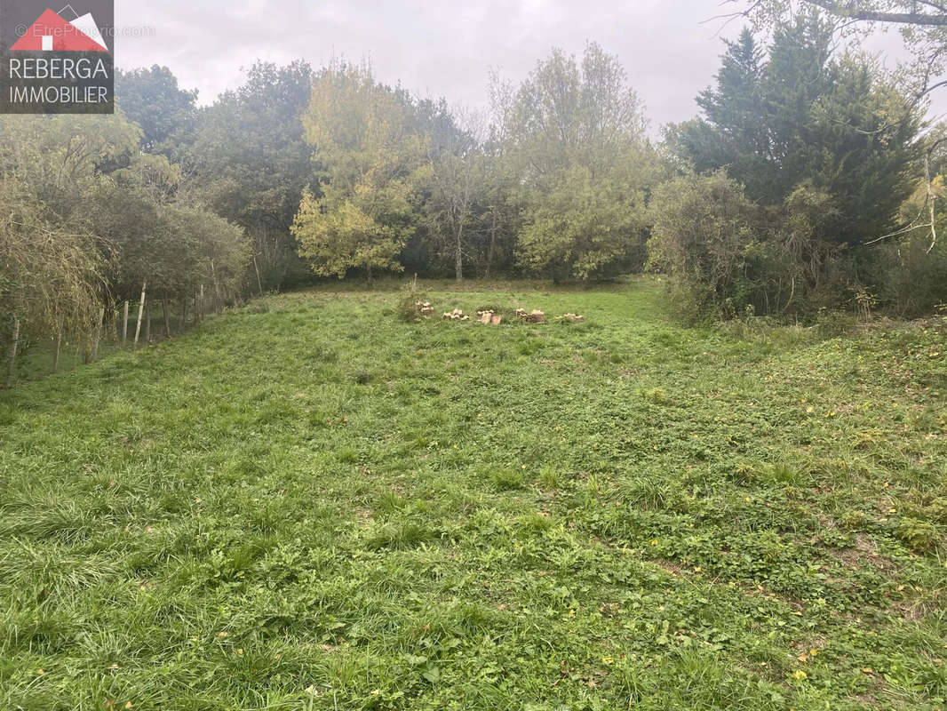 Terrain à VIVIERS-LES-MONTAGNES