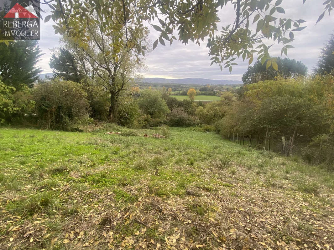 Terrain à VIVIERS-LES-MONTAGNES