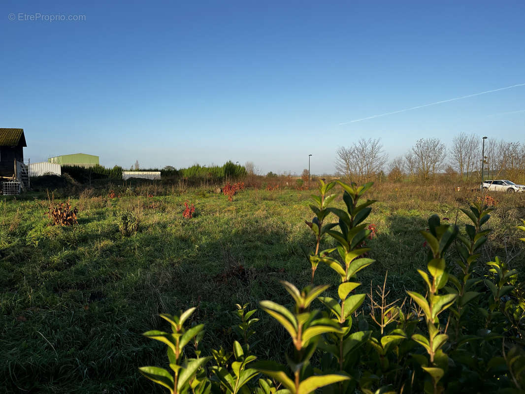 Terrain à VIENNE-EN-VAL