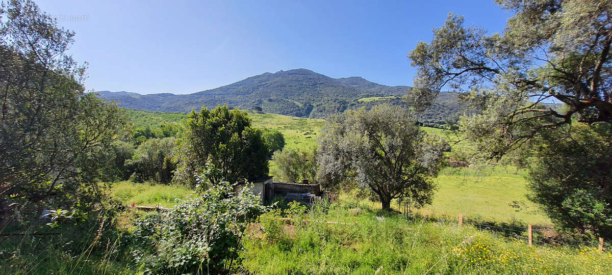 Maison à FOZZANO