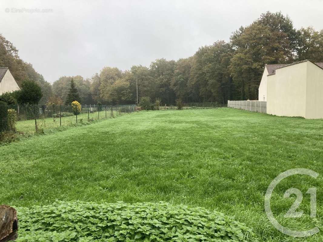 Terrain à SAMOIS-SUR-SEINE