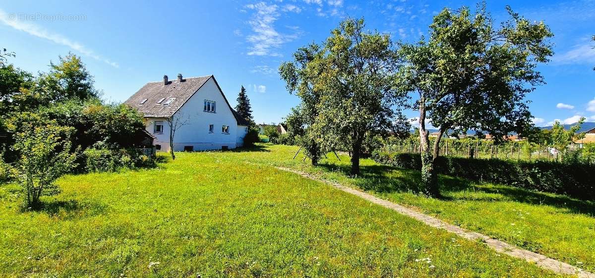 Maison à BERGHEIM