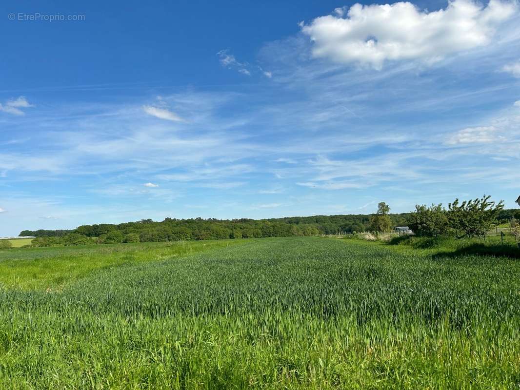 Terrain à TORFOU