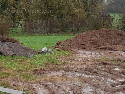 Terrain à CHAVAGNES-EN-PAILLERS