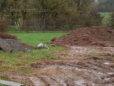 Terrain à CHAVAGNES-EN-PAILLERS