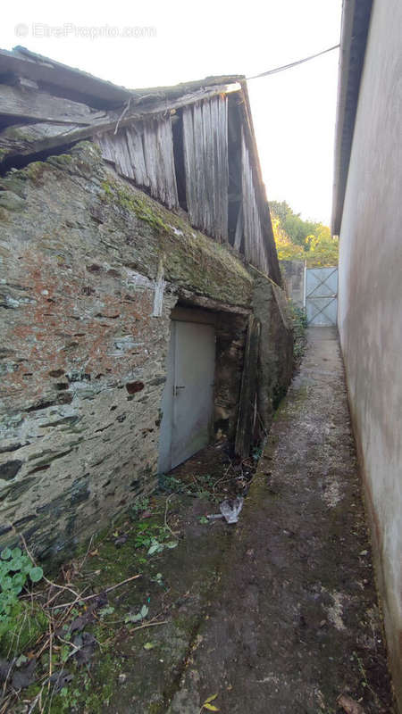 Terrain à LA MEMBROLLE-SUR-LONGUENEE