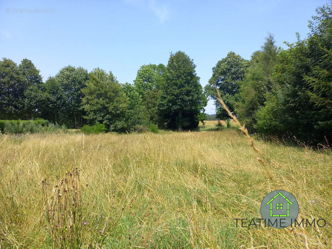 Terrain à LE CHAMBON-SUR-LIGNON