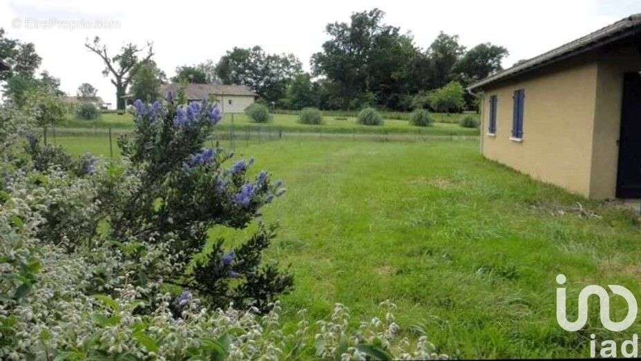 Photo 8 - Maison à CREON-D&#039;ARMAGNAC