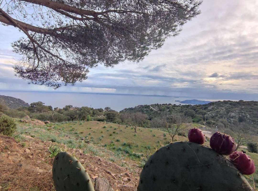 Photo 4 - Maison à LE LAVANDOU