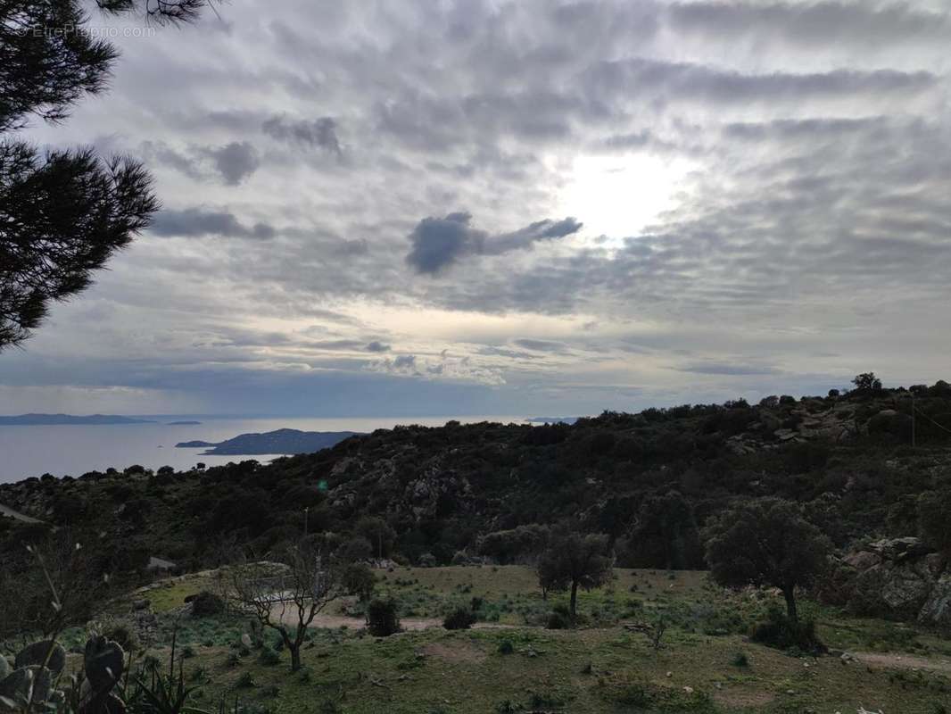 Photo 5 - Maison à LE LAVANDOU