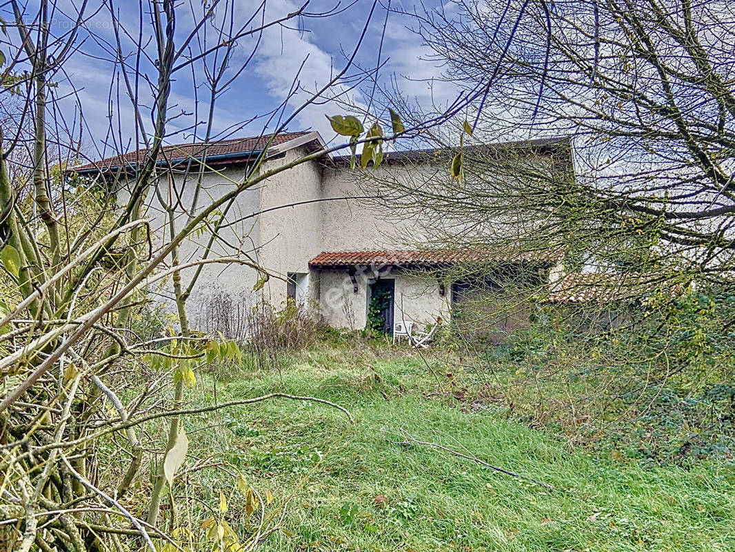 Maison à MEXIMIEUX