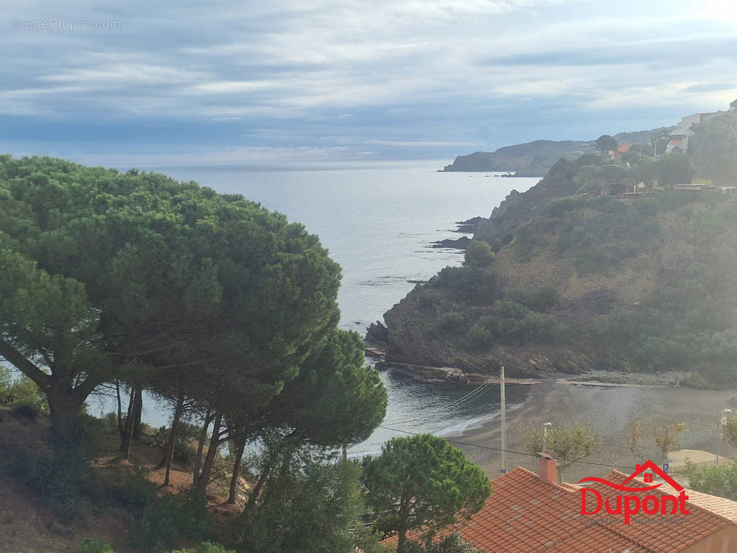 Appartement à BANYULS-SUR-MER