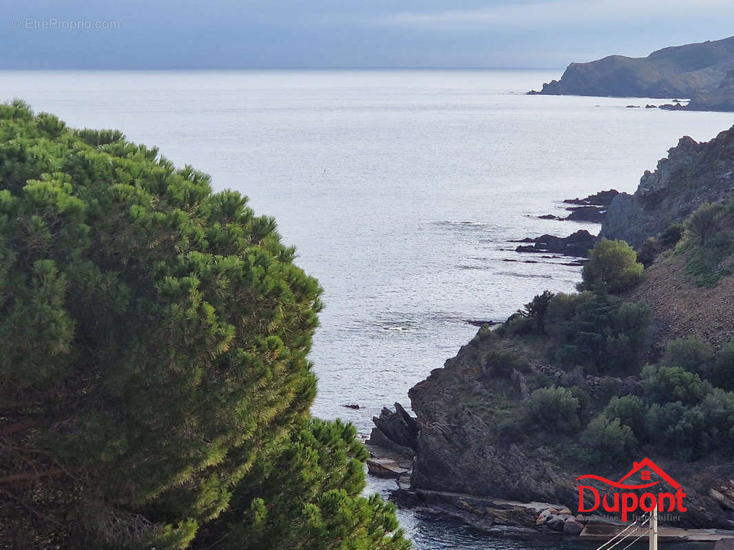 Appartement à BANYULS-SUR-MER