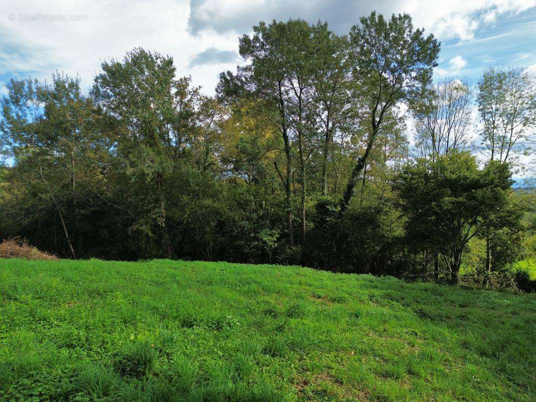 Terrain à TABAILLE-USQUAIN