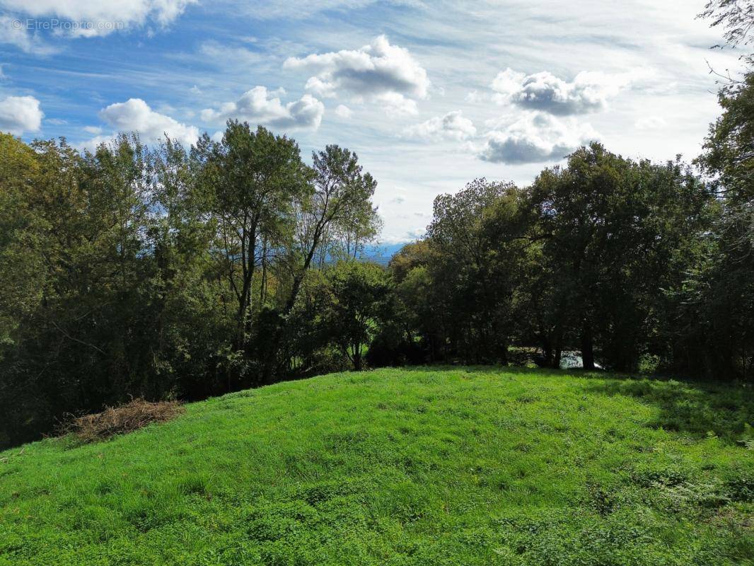 Terrain à TABAILLE-USQUAIN