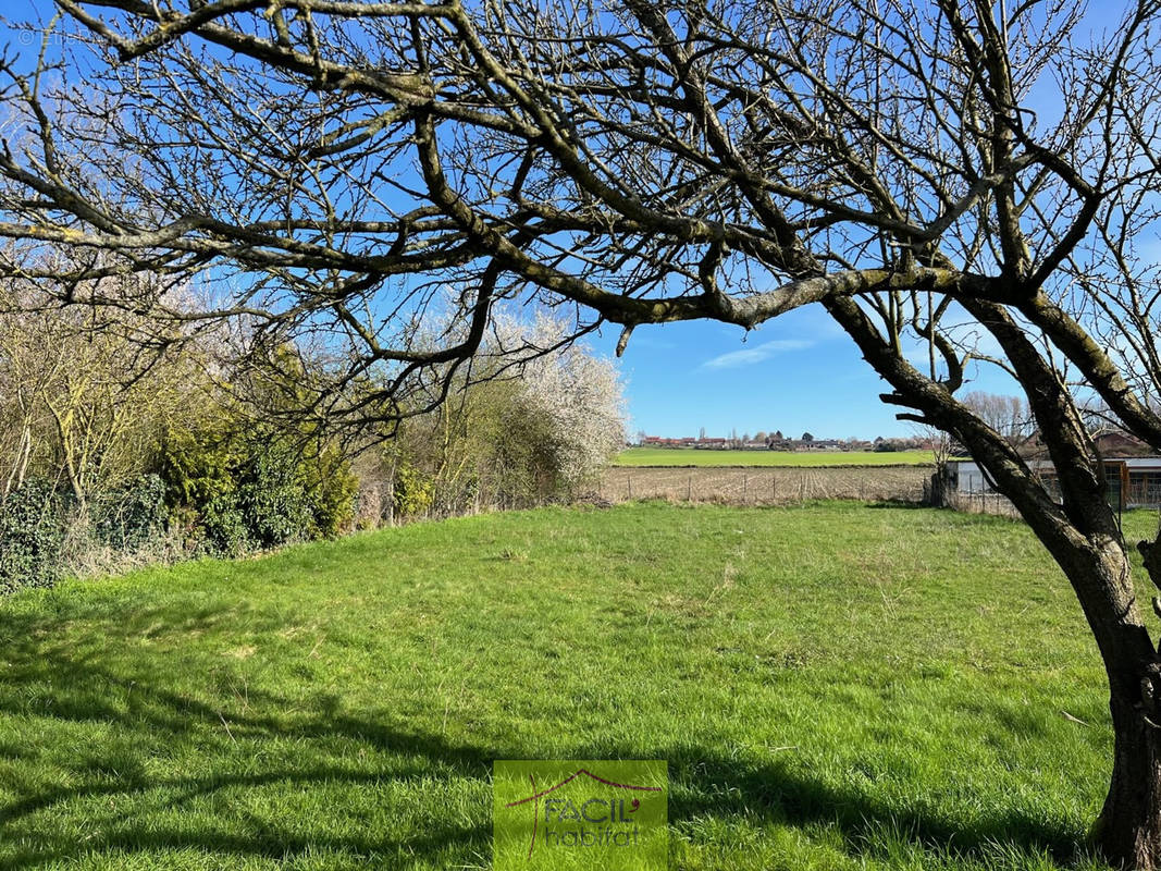 Terrain à LEFOREST