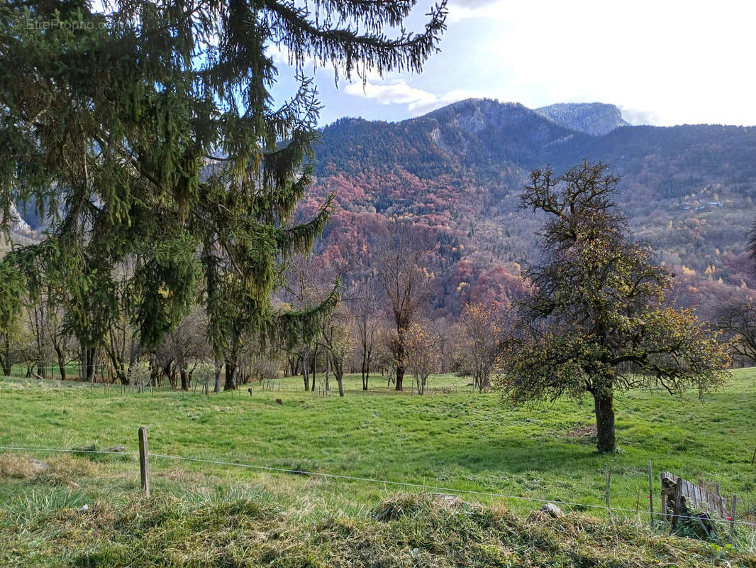 Terrain à SAINT-FRANCOIS-LONGCHAMP