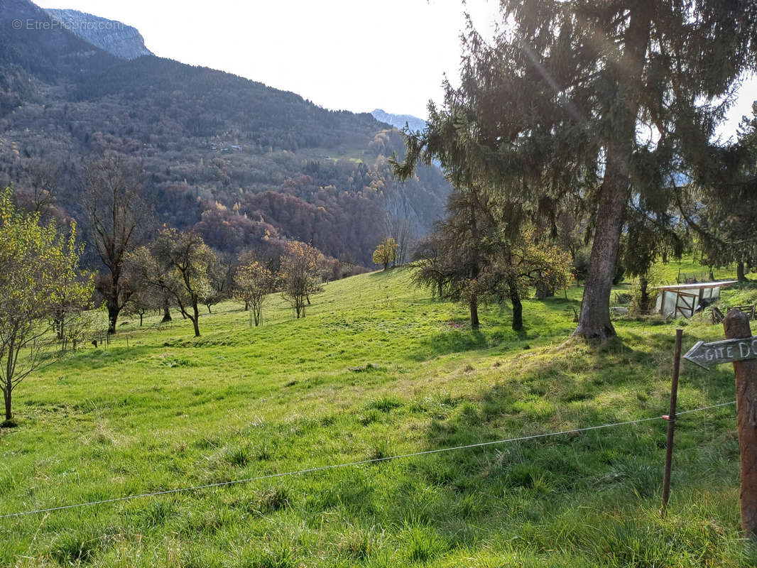 Terrain à SAINT-FRANCOIS-LONGCHAMP