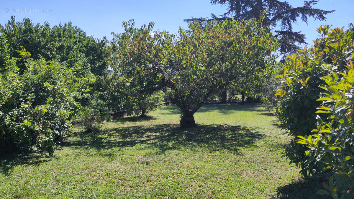 Maison à CHAZAY-D&#039;AZERGUES