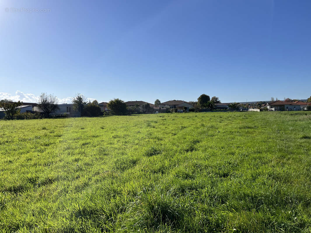 Terrain à BORDERES-SUR-L&#039;ECHEZ