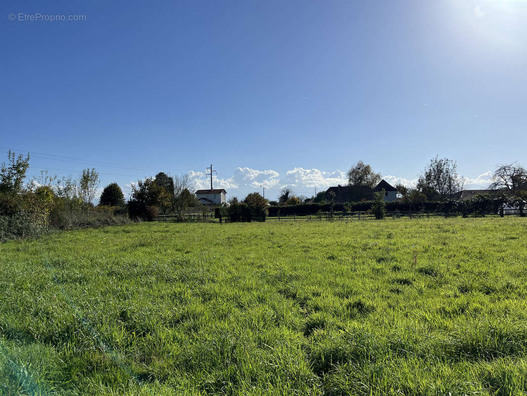 Terrain à BORDERES-SUR-L&#039;ECHEZ