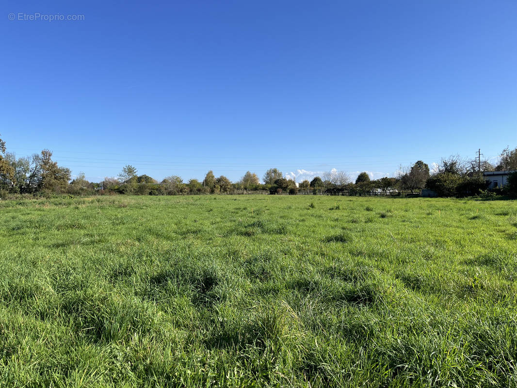 Terrain à BORDERES-SUR-L&#039;ECHEZ