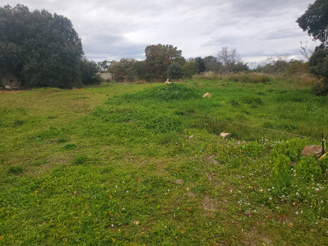 Terrain à CAUX