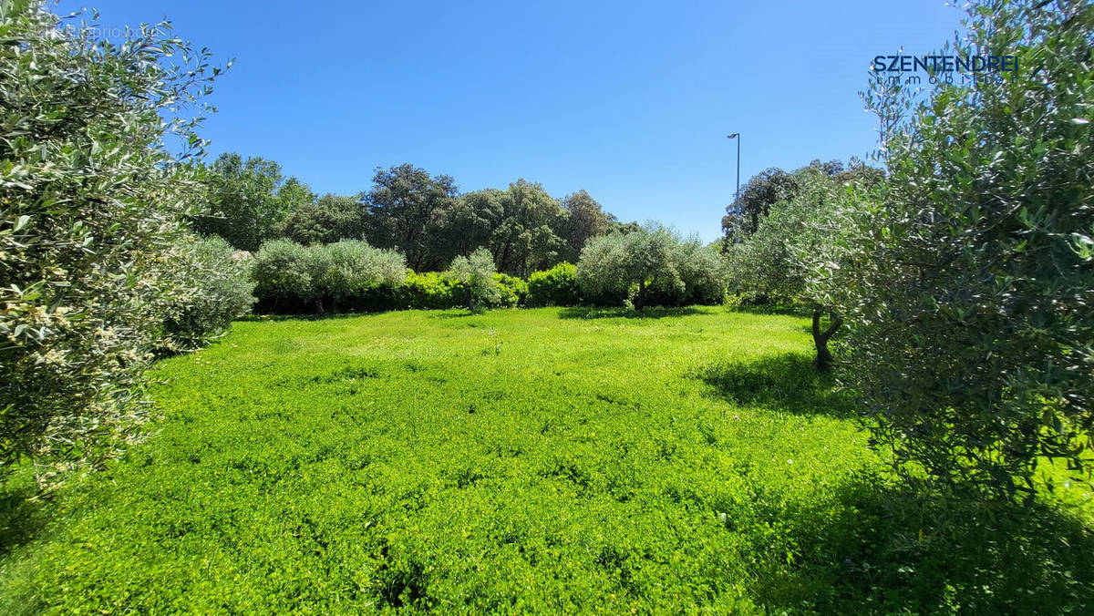 Terrain à BOISSERON