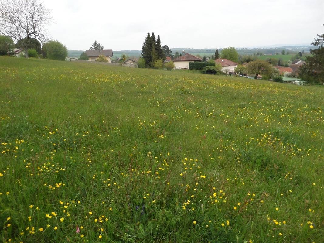 Terrain à HERICOURT