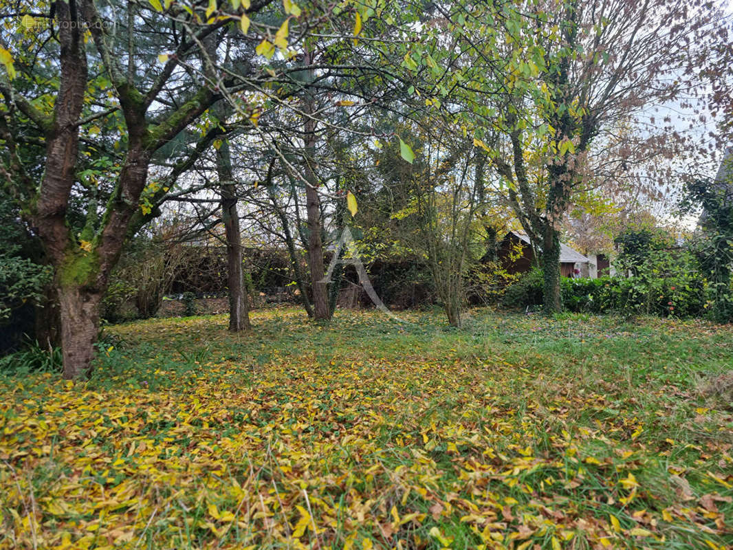 Terrain à LES PONTS-DE-CE