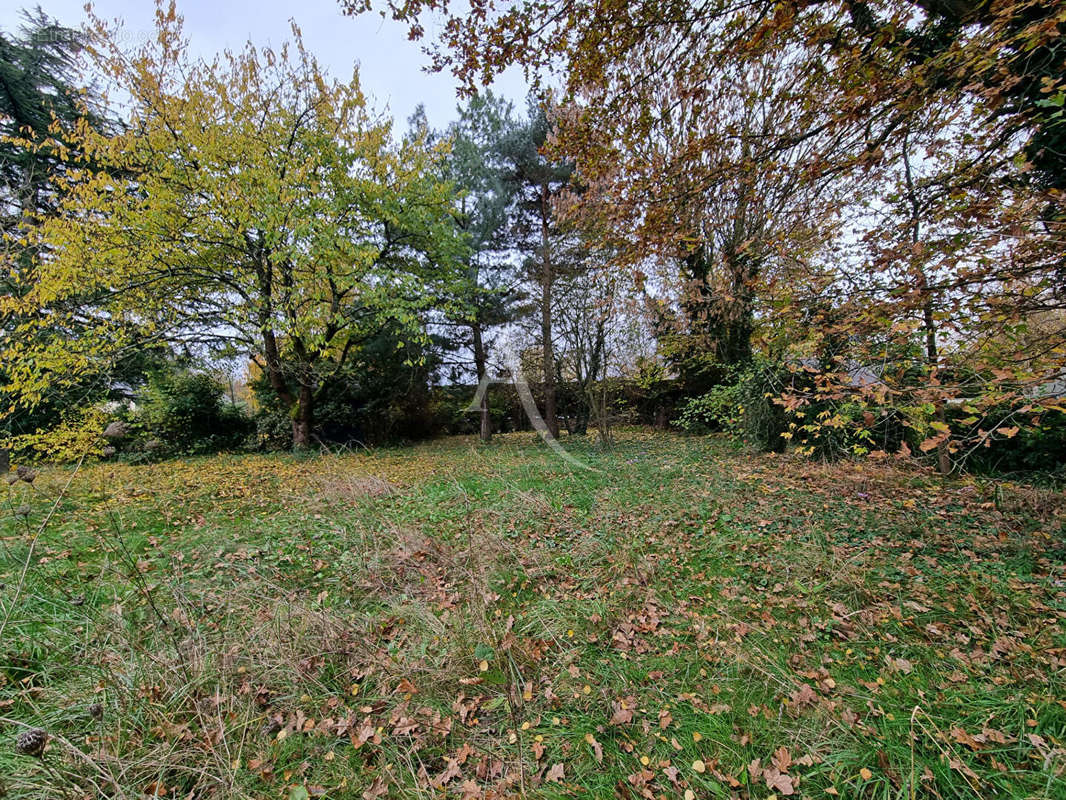 Terrain à LES PONTS-DE-CE